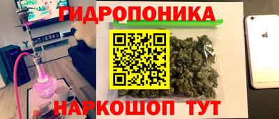 амф Обь
