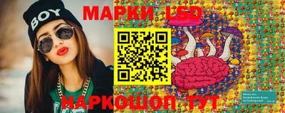 амф Обь