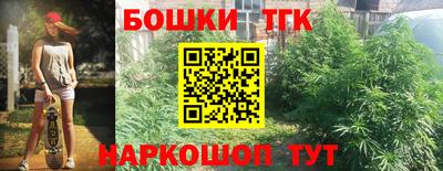 амф Обь