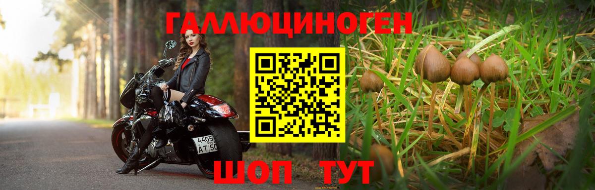 Галлюциногенные грибы GOLDEN TEACHER  Вход с VPN  Старая Купавна 